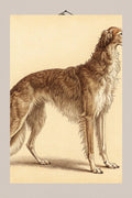 Vintage Borzoi Botanical 12x18 Art Print mockup